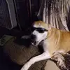 wendysteinmetz724 - @wendysteinmetz724 - TikTok