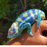 Wendy Recht Steiner - @wendyrechtsteiner - Instagram