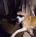Wendy Steinmetz - Facebook