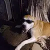 wendysteinmetz724 - @wendysteinmetz724 - TikTok