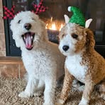 Wendy Stender - Facebook