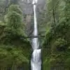 Wendy Stenger - @wendy.stenger - TikTok