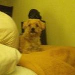 Wendy Stephens - @wendy.stephens.98284 - Instagram