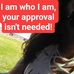 Wendy Stepp - Facebook
