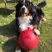 Wendy Steppler - Facebook