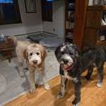 Wendy McDaniel Stinson - @stinsonwendy - Instagram