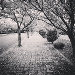Wendy Stjohn - @grabsizeryl - Instagram