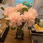 Wendy Stock - @wls4849 - Instagram