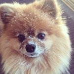 Wendy Stoll - @wendystoll - Instagram