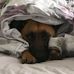 Wendy Stone - Facebook