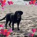 Wendy Stone - Facebook