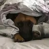Wendy Stone - @wendy.stone3 - TikTok
