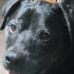Wendy Stone - Facebook