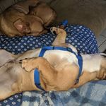Wendy Strader Peterson - @straderpeterson - Instagram