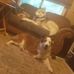 Wendy Strong - Facebook