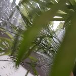 8wendy0675 - @wendy.strom0067 - Instagram