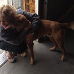 Wendy Strom - @windystorm81 - Instagram