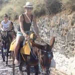 Wendy Strommer - @wendystrommer - Instagram