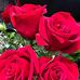 Wendy Sumsuma - Facebook