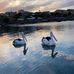 Wendy Sumner - Facebook