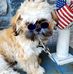 Wendy Sutter - Facebook