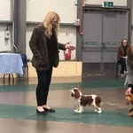 Wendy Sweetbriar - @wendysweetbriar - Instagram