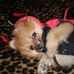 Wendy Tapper - Facebook