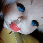 Wendy Terrell - @wendyterrell14 - Instagram
