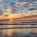 Wendy Terrell - @waterrell - Instagram