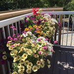 Wendy Thiessen - @w.a.thiessen - Instagram