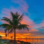 Wendy Ting - Facebook