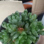 Wendy Ting - @wend.t0001 - Instagram