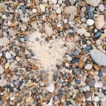 wendy towner - @townerwendy - Instagram