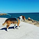 Wendy Townsend Spanish Crafter - @wendy_spanish_crafter - Instagram