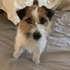 Wendii Treadwell - @user21160525 - TikTok