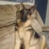 mendywendy_9165 - @wendyvolkers589 - TikTok