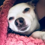 Wendy Volkman - @wendy_volkman - Instagram