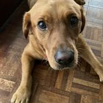 Wendy Walton - @wendywalton01 - Instagram