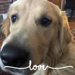 Wendy Waugh - @ww070704 - Instagram