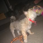Wendy weaver - @wendyweaver7344 - Instagram