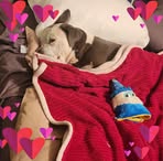 Wendy Webber - Facebook
