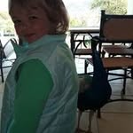 Wendy Webber - @webber_ekurhuleni._zoom__n_812 - Instagram