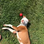 Wendy Webber - @pure_red_ - Instagram
