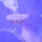 Wendy K. Weidner - @weidnerwendy - Instagram