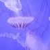 Wendy Weidner - Facebook