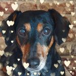 Wendy Wicks - @wendy.wicks.779 - Instagram