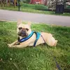 wendysmagicalwicks - @wendysmagicalwicks - TikTok