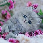 Wendy Wilhelm - @wendywilhelm12 - Instagram