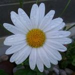 Wendy Winans-Ganske - @winansganske - Instagram