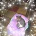 Wendy Winstead - Facebook
